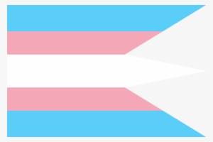 Redesignstransgender War Flag - Vexillology