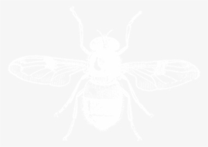 Bee Icon Wht - Decal