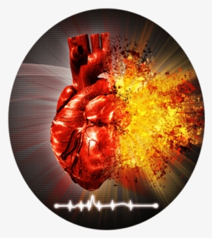 It's Idiot Proof, That Thing They Call A Defibrillator