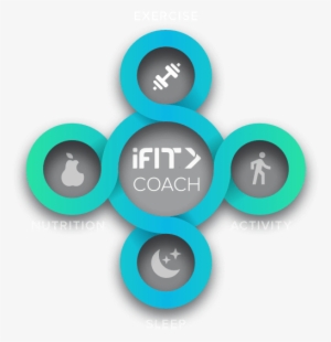 Exercise Rings - Ifit