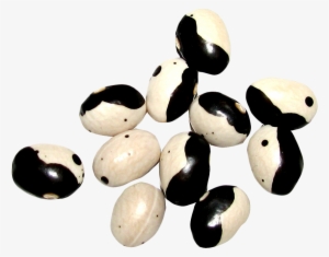 Yin Yang Beans Png Image - Portable Network Graphics