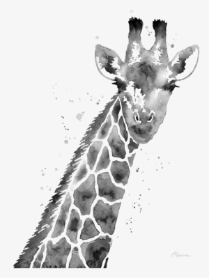 Bleed Area May Not Be Visible - Giraffe In Black And White
