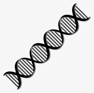 This Free Icons Png Design Of Dna Helix Variation 2