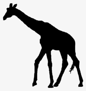 Painting At Getdrawings Com Free For Personal - Giraffe Silhouette Png Clipart