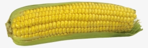 Corn Png Image Without Background - Кукурудза Кліпарт