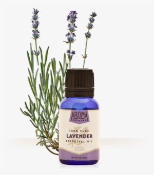 Lavender Essential Oil - Fine Lavender Essential Oil Organic 10ml Florame