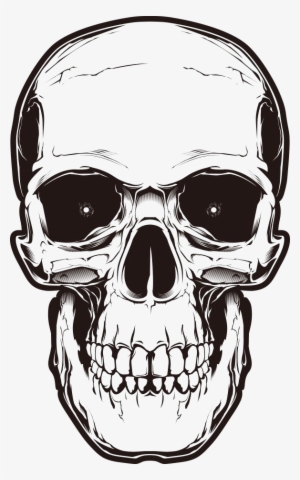 Bone Skull Png Image Background - Skull Png