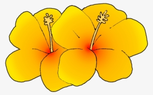 Free Flower Clipart - Hawaii State Flower Clip Art