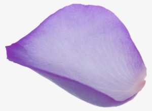 Purple Rose Petals Png - Beauty Bazaar, Harvey Nichols