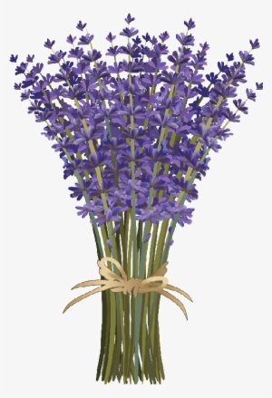 Flores Png - Lavender Clipart