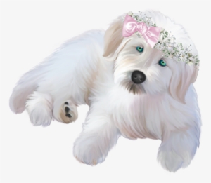 White Puppy Png