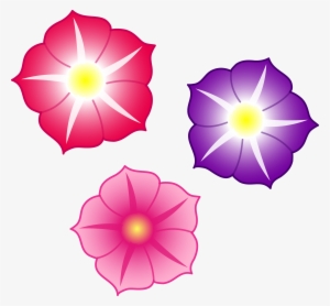 Colorful Flowers Png File