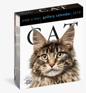 9781523503063 3d V=1537390883 - Workman Publishing Cat Gallery Desk Calendar