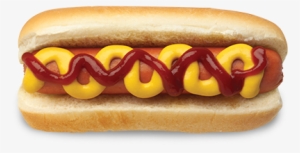 Hot Dog - Hot Dog Sandwich Top View