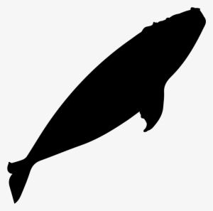 Clip Black And White Stock Right Silhouette Svg Png - Right Whale Silhouette
