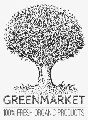 This Graphics Is Green Market Transparent Vegetables - Illustration