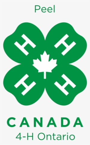 Peel 4h - New 4 H Logo