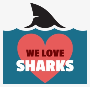 Sharks Logo Png