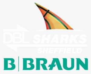 Logo - B Braun Sharing Expertise