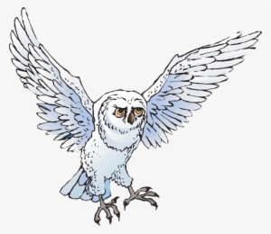 Snowy Owl Flying Clipart