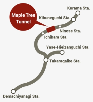 Maple Tree Tunnel Map - Tunnel