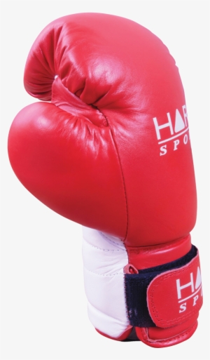 Hart Hybrid Glove / Pa