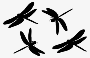 Download Png - Scalable Vector Graphics