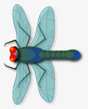 Make Your Own Dragonfly From Scratch *beginners* - Dragonfly
