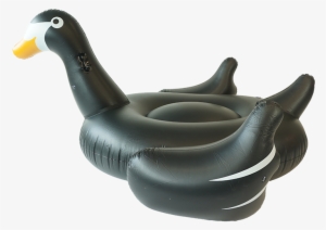 Sunfloats Inflatable Black Swan Pool Floats - Swimline Giant Pool Float