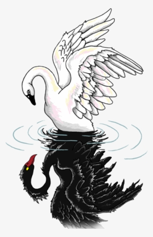 Black Swan - Black Swan White Swan Tattoo