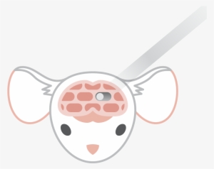 Optogenetics Infographic For Web-01