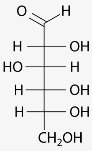 D Glucose Fischer