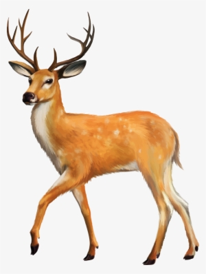Shutterstock 139655375