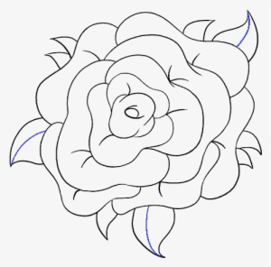 How To Draw Rose Flower - Drawing