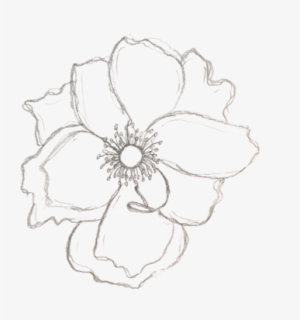 Image Free About Apotheca Flowers Wedding - Sketch