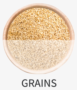 Related Products - Whole Grain
