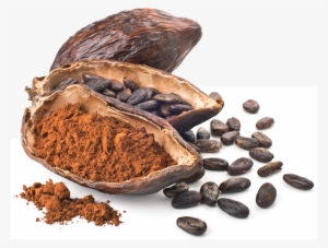 cacao beans chocolate stack - cacao and chocolate png