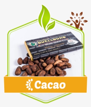 peruvian cacao is a product originative from our amazon, - chocolate