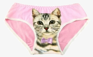 Itgirl Shop Pussy Cat Print Panties Aesthetic Apparel, - Pussy Cat