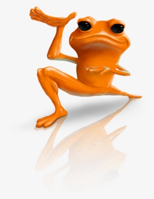 Golden Frog - Frog