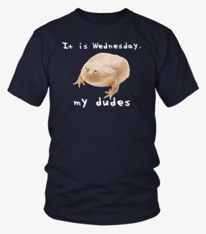 Funny It Is Wednesday My Dudes Frog Meme T-shirt - Donald J Trump Border Wall Construction Co