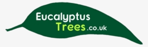 Your Guide To Eucalyptus Gum Trees - Eucalyptus Archeri