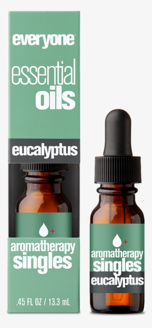 Everyone Aromatherapy Single Pure Essential Oil Eucalyptus