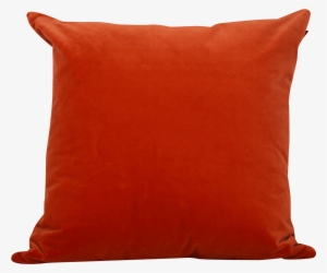 Burnt - Burnt Orange Orange Cushions