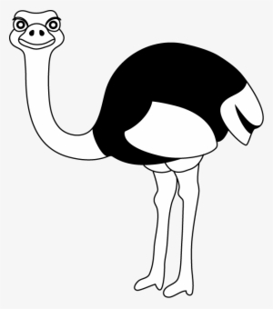 Head Clipart Emu - Black And White Of Ostrich