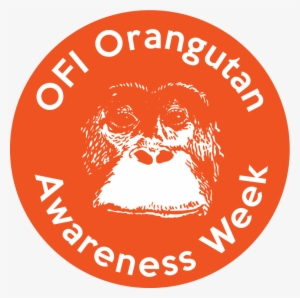 However You Choose To Celebrate Orangutan Awareness - Orangutan Foundation