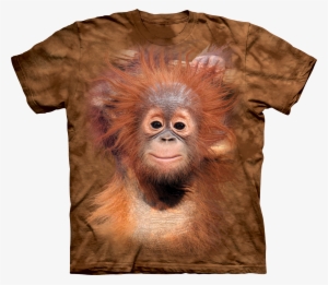 Baby Orangutan - Animal T Shirts