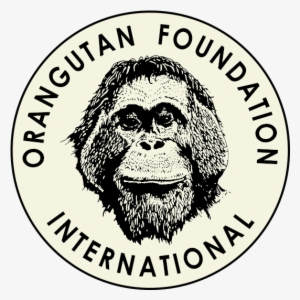 Orangutan Foundation International Volunteers - Orangutan Foundation International