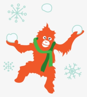 Orang Utan And Snow