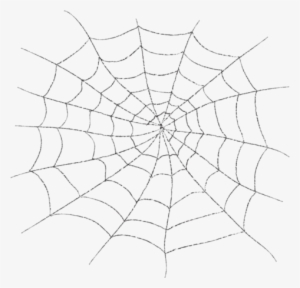 Spider Web Transparent Vector Download - Spider Web Png